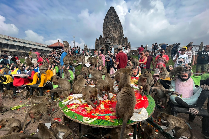Macaques sit amongst monkey statues and tourists walk between them as they eat