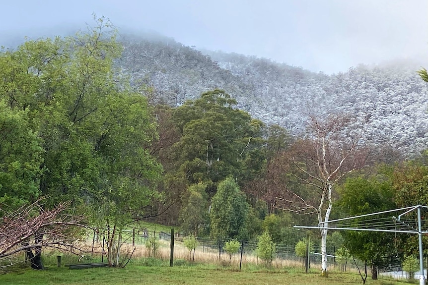 A dividing line of snow on a hillside.