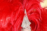 Dancer smiles into the camera, with an enormous red feather head dress.