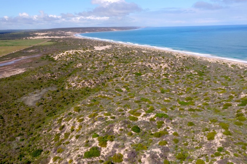 Coastal land in Kalbarri looking towards the ocean.