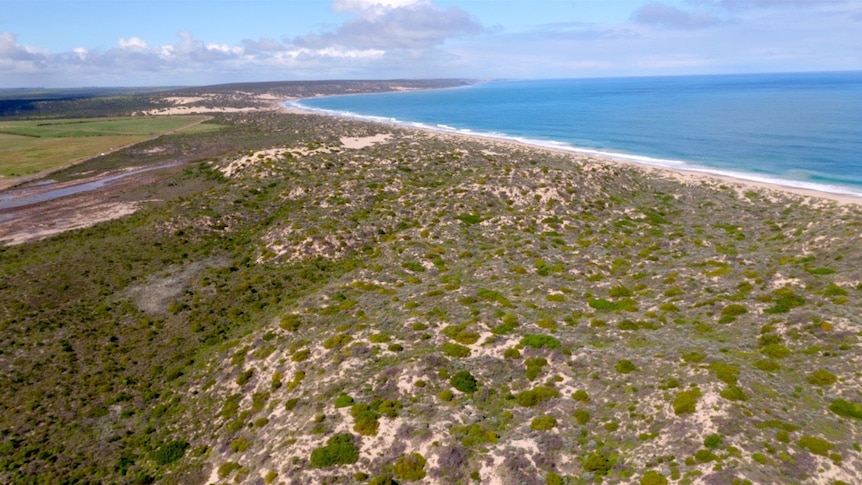 Coastal land in Kalbarri looking towards the ocean.