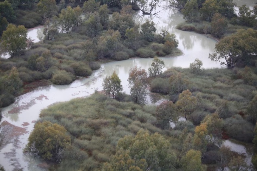 A waterway snakes around dense bushland