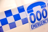 NSW police 000 logo on car generic