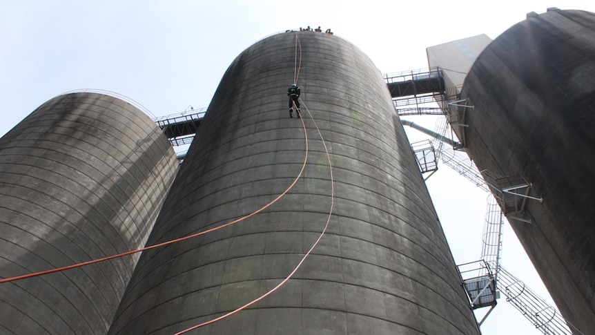 View from the bottom of the silo at GrainCorp in Mackay.