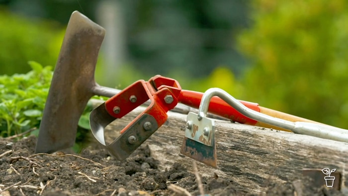 Three types of hoe resting on the edge of a vegetable garden bed