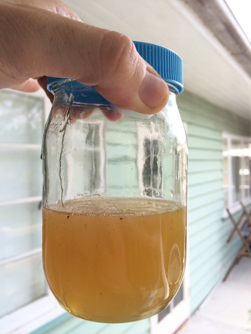 Mason jar half filled with thick, dark yellow native honey.