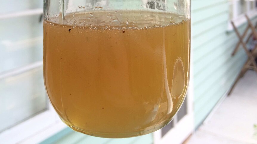 Mason jar half filled with thick, dark yellow native honey.