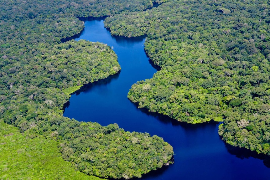 An aerial photograph of the Amazon River and the surrounding forest.