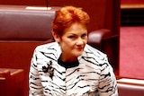 Senator Pauline Hanson stands in Parliament.