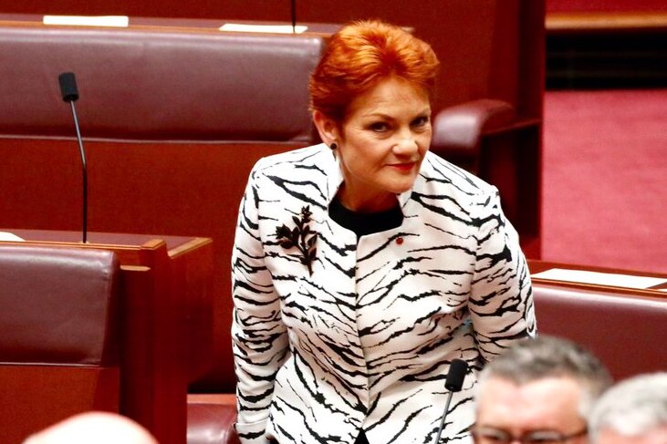 Senator Pauline Hanson stands in Parliament.