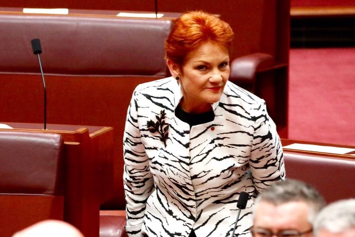 Senator Pauline Hanson stands in Parliament.