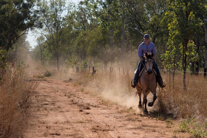 Jodie Ward rides a horse down a dusty track in Darwin as she trains for the Mongol Derby.