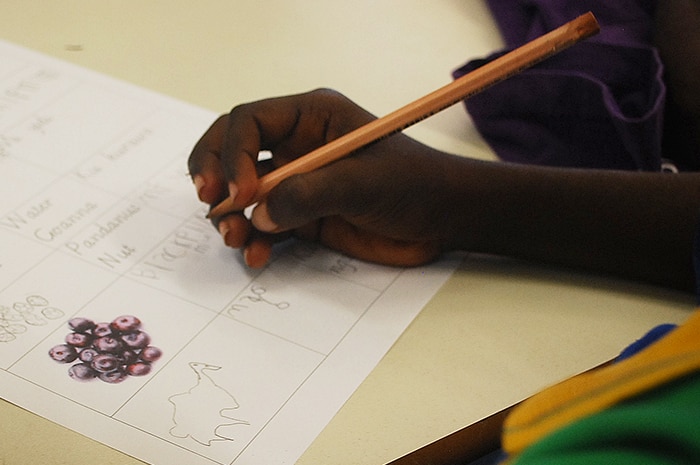 Indigenous student hand holding pencil generic image.