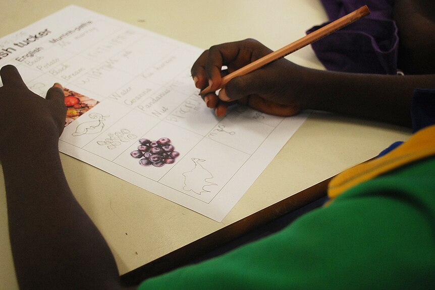 Indigenous student drawing at Palumpa community, Northern Territory.