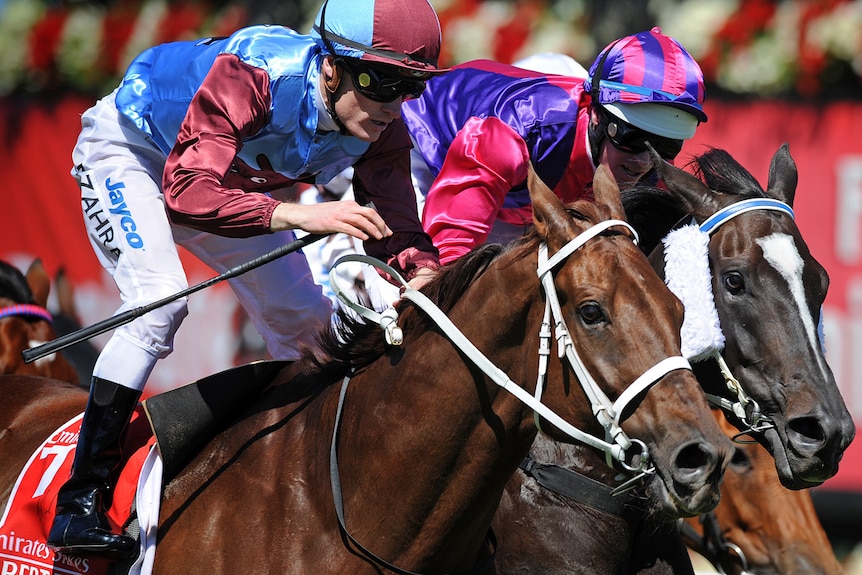 Mark Zahra riding Albert the Fat to victory in Emirates Stakes