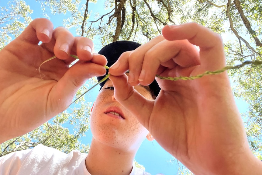 A young boy wearing a white shirt and black cap closely ties a knot out of leafy material under a tree.