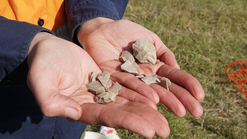 Two cupped hands hold a number of indigenous artefacts. 