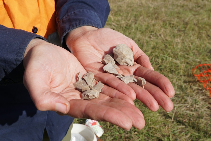 Two cupped hands hold a number of indigenous artefacts. 