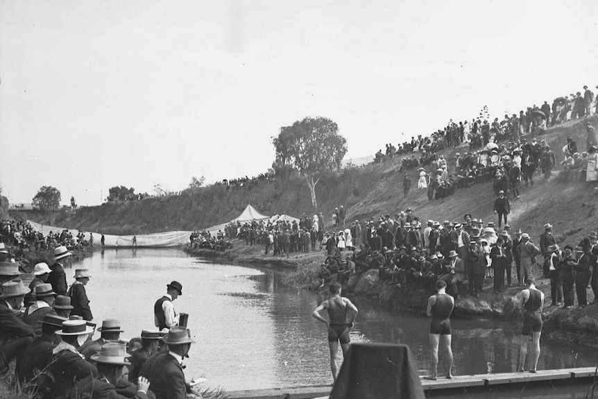 A swimming race at Gilberton Swimming Club at River Torrens in 1912.