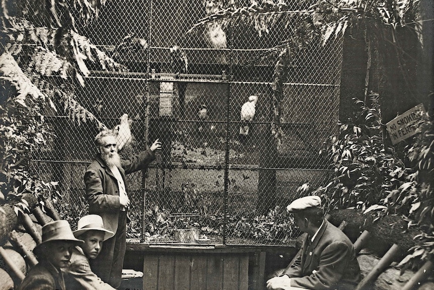 Black and white old photo of birds in an aviary in Cole's arcade.