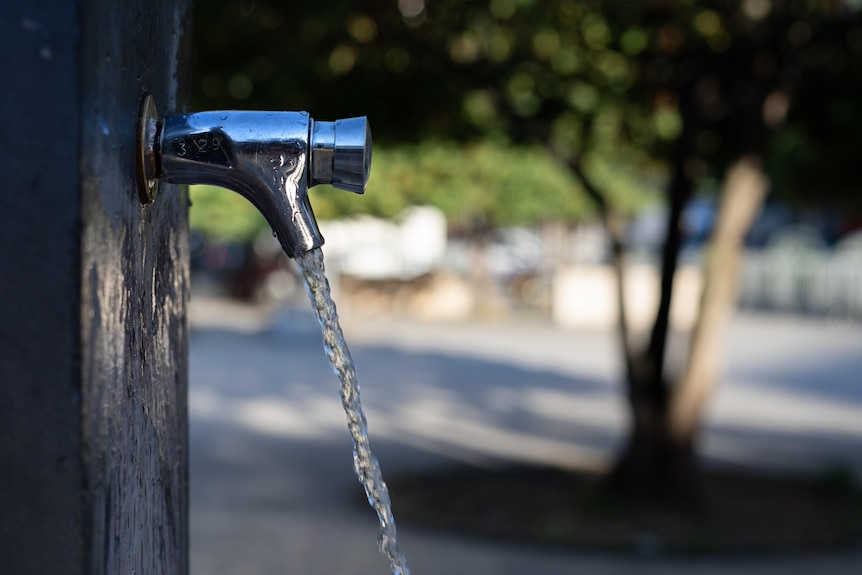 Water coming out of an outdoor tap