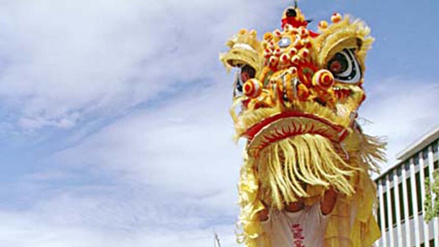 Chinese men wearing a gold and red lion costume.