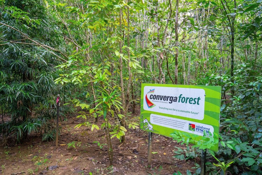 Large sign reading 'Converga Forest' surrounded by tall trees