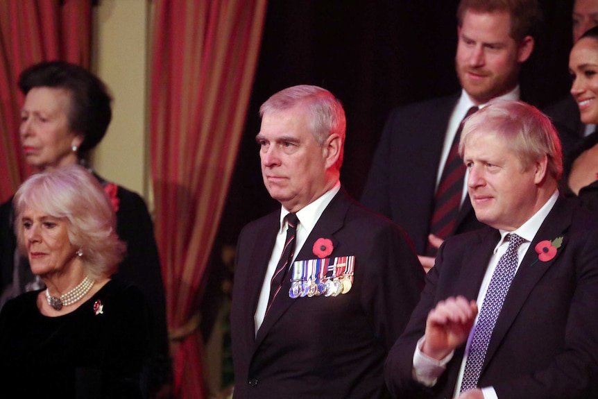 Prince Andrew dressed in a suit and tie wears war medals and a red poppy at an event.