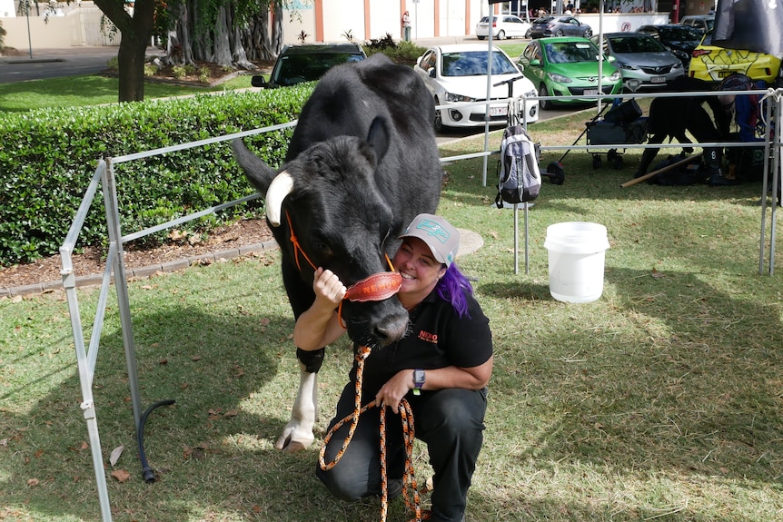Middle-aged woman crouches down next to a black steer