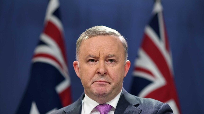 Anthony Albanese stands before two flags