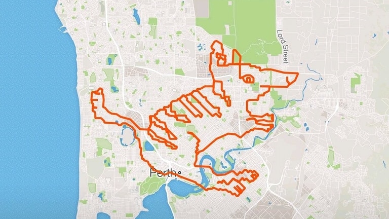 The drawing of a numbat created by Perth cycling group Fight Club on Strava