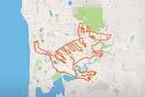 The drawing of a numbat created by Perth cycling group Fight Club on Strava
