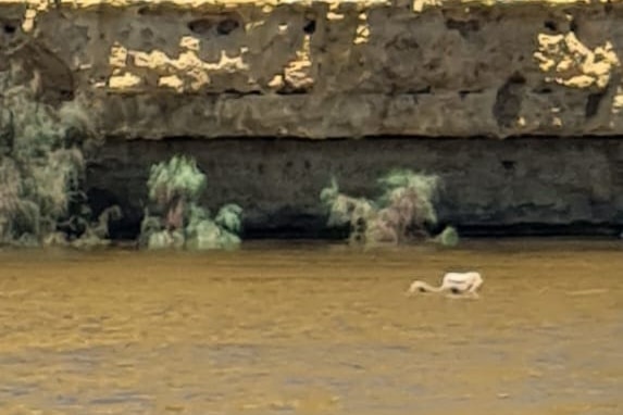 An armchair floating in a large river