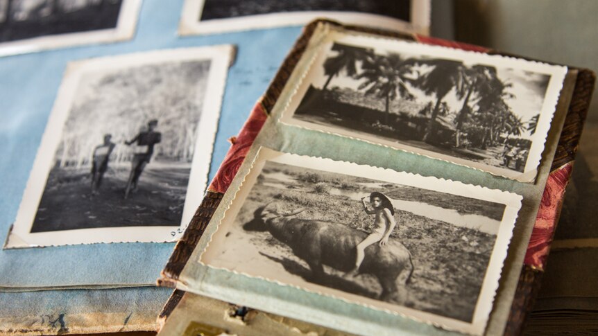 Several photos in albums, including one of a naked boy riding a buffalo.