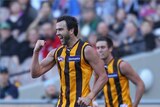Hawthorn's Jordan Lewis will return to the Hawks side for Saturday's preliminary final.