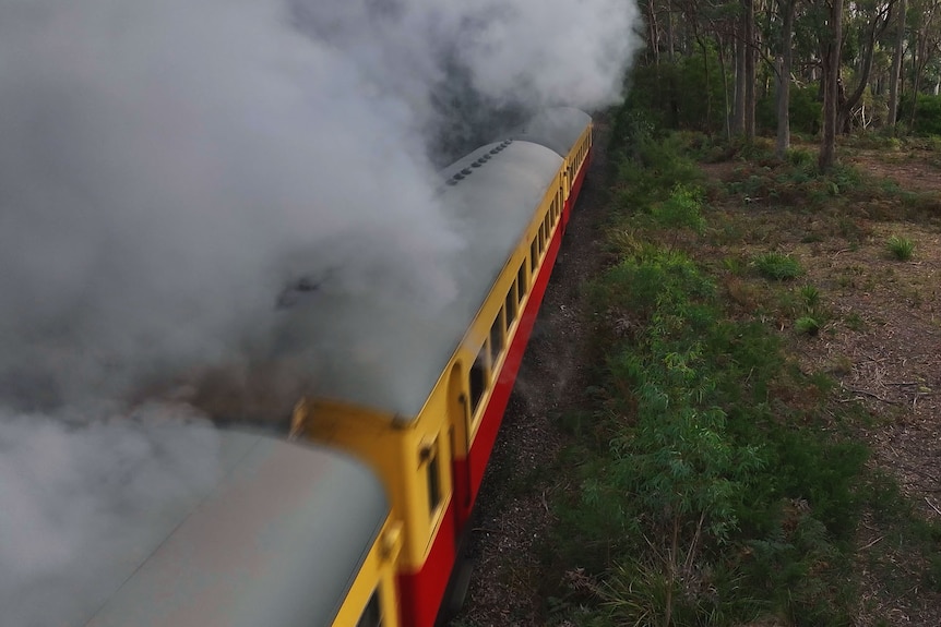 Steam enshrouding rail carriages as seen from the forest canopy just above.
