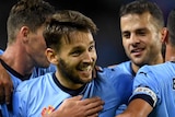 Milos Ninkovic celebrates goal against Brisbane Roar