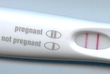 Two lines are displayed on a pregnancy test indicating the user is pregnant