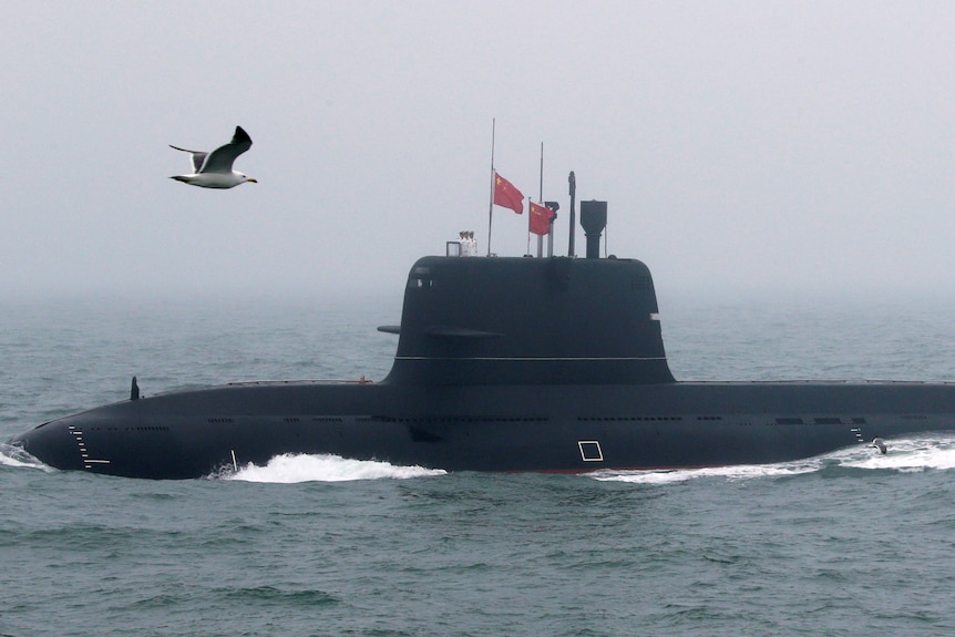 A the upper section of a submarine flying Chinese flags is visible above the sea, a seagul also flies in frame