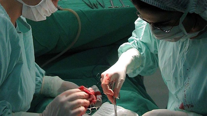 The report says elective surgery waiting lists in the ACT are not improving despite extra government funding.