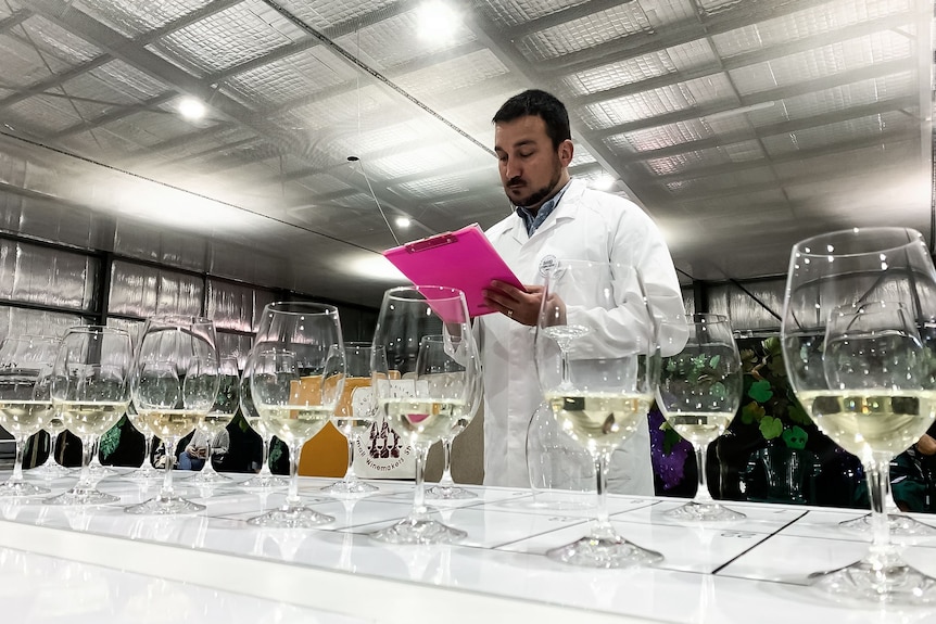 man with pink clipboard looking at wine