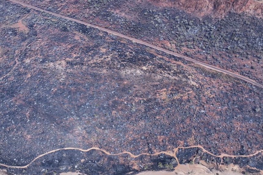 An aerial shot of blackened landscape.
