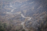 Road up Eungella Mountain charred by fire.