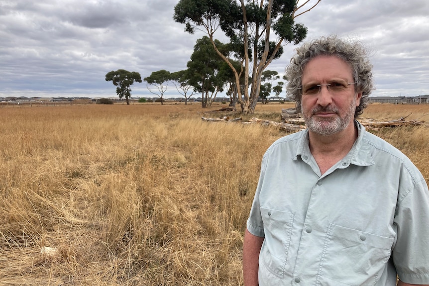A Caucasian man with curly greying hair, a short beard and thin spectacles stands in front of brown grassland with trees