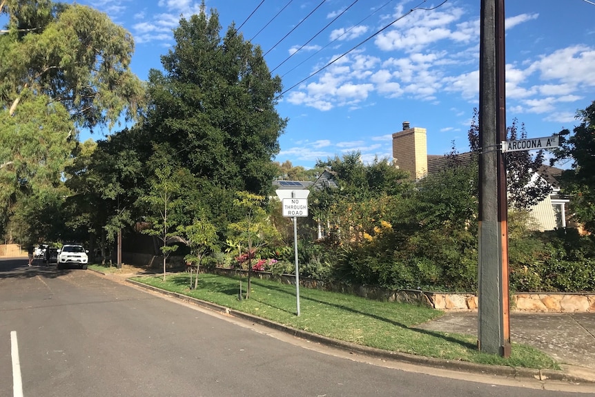 Arcoona Avenue at Lockleys in Adelaide's west.