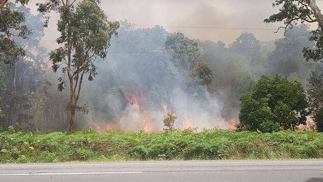 A fire in bushland