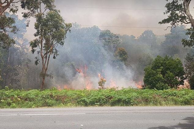 A fire in bushland