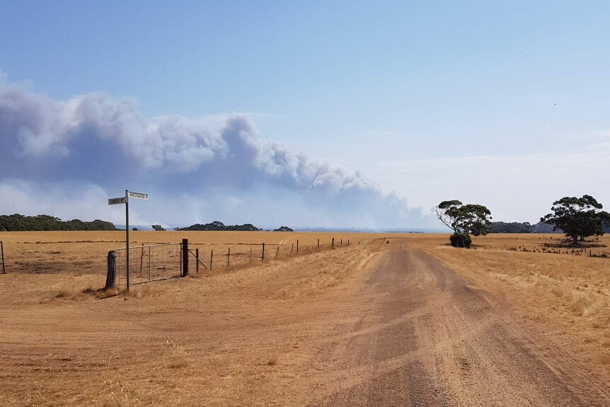A portrait image shows a long dirt road leading to a horizon line on a clear day with large bushfire smoke plumes.