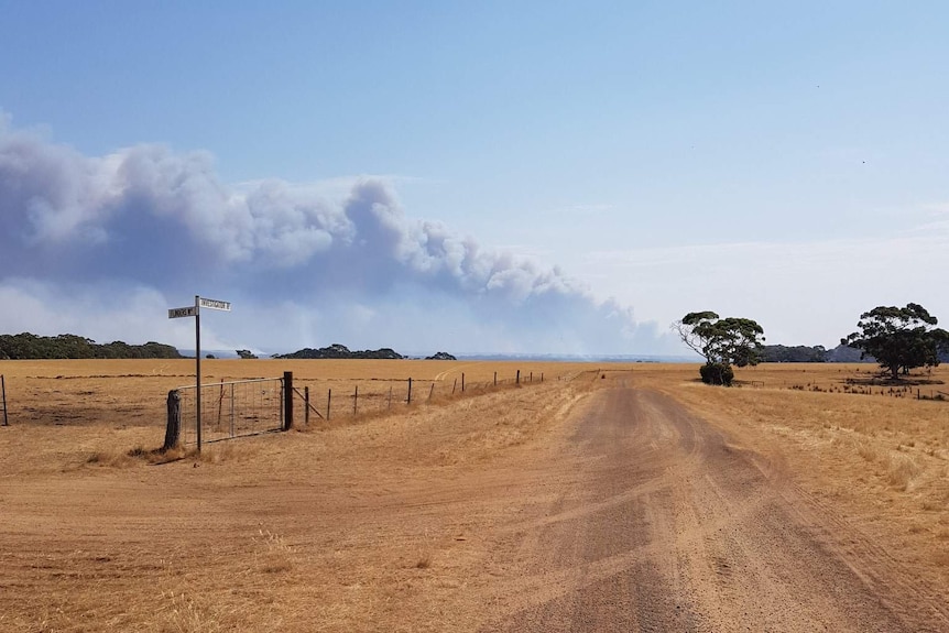 A portrait image shows a long dirt road leading to a horizon line on a clear day with large bushfire smoke plumes.