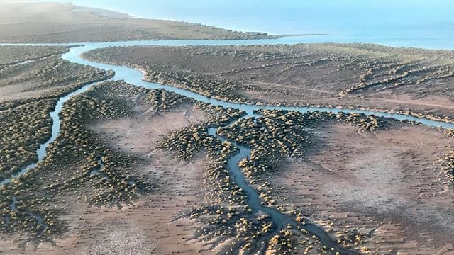 A aerial photo of river wetlands in Karratha, Western Australia.